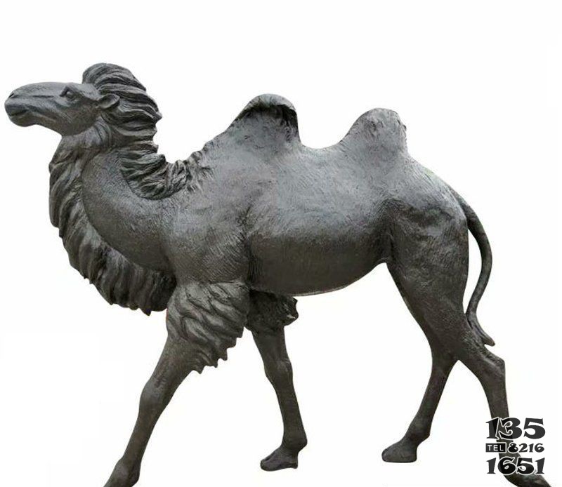 铜雕公园动物骆驼雕塑图片